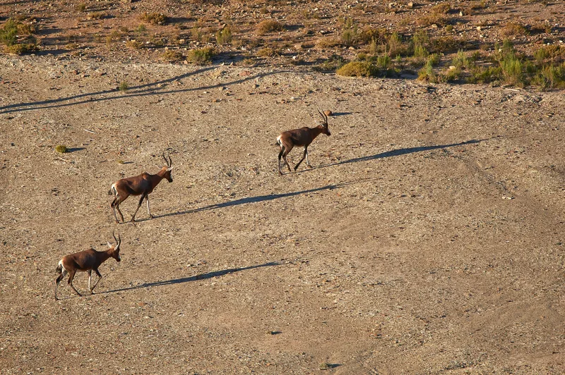 2 Days Best Budget Safari Tarangire & Ngorongoro Crater - Tanzania safari gallery image